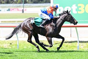 DARTING CHAMP GETS THE JOB DONE